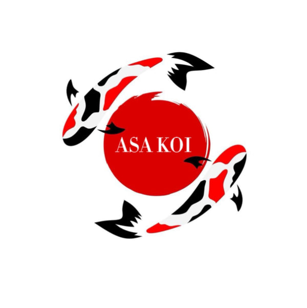 ASAKOI